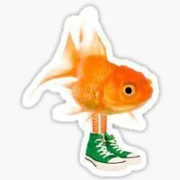 Con t/g vô tri mê ngủ 😼💤