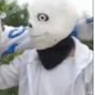 alpha San