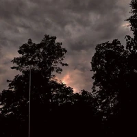Mn