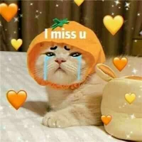 Vũ một chiếc au vô tri:<