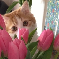 So [ Author ]😗🍡