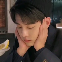 Tiêu Chiến - Tiểu Tán