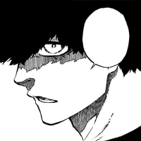 Niko Ikki