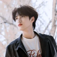 Nghiêm Hạo Tường