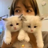 Lalisa Manobal (nàng-lía)