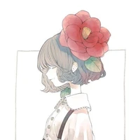 ___