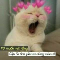 coan tác giả so cute