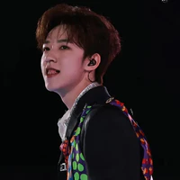Hạ Tuấn Lâm