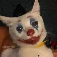 tg đayyy