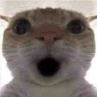 tác giả siuu ngòu