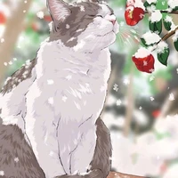 Mimi