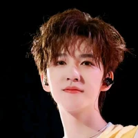Hạ Tuấn Lâm