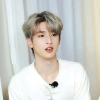 Nghiêm Hạo Tường