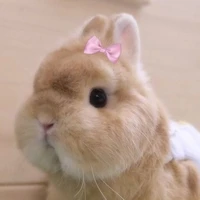 Tác giả cutii nè
