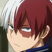 Todoroki Shouto