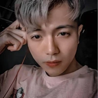 Vịt