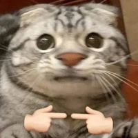 000/lạc trôi