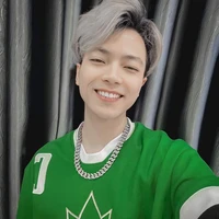 HViệt__vịt