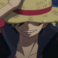 Monkey D Luffy[19 tuổi]