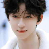 Hạ Tuấn Lâm