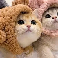 Đại Nam+Mặt Trận