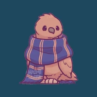 học sinh nhà raveclaw