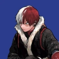 Todoroki Shouto
