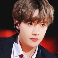 Jung Hoseok ( Hope )