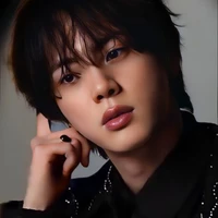 Kim Seokjin ( Jin )