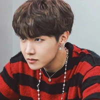 Jung Hoseok ( Hope )