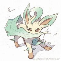 Leafia [ Natural ] - Hân