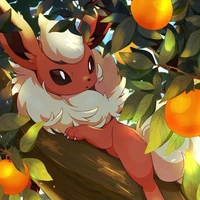 Booster [ Flame ] - Hân
