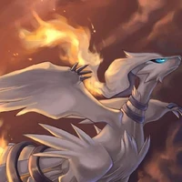Reshiram (Res)