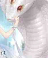 Dra / hệ thống