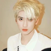 Nghiêm Hạo Tường