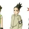 Nara Shikadai