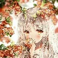 lê chi - sun