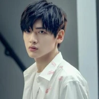 Giản Dương - Sunflower (CK)