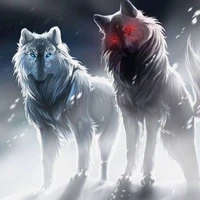 Bạch Lang và Hắc Lang