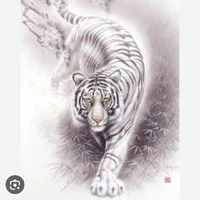 tiểu hổ