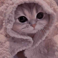 Tác giả cu te phô mai que