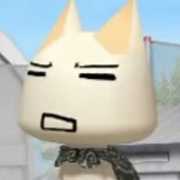 Y/n