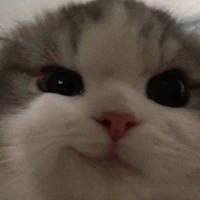 Cân Mọi vài Diễn 🤍