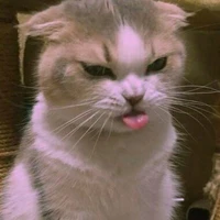 HT-Tiểu Miêu