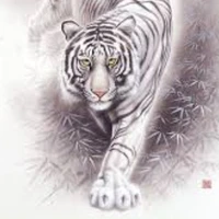 Bạch Hổ