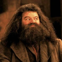 Rubeus Hagrid