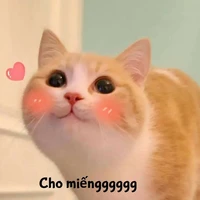 All