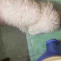 no cute em của ti )