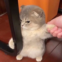 tg: Mốc