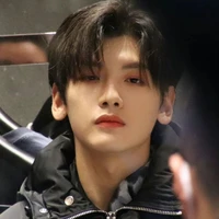 Giản Dương_CK_Rừng_Sunflower